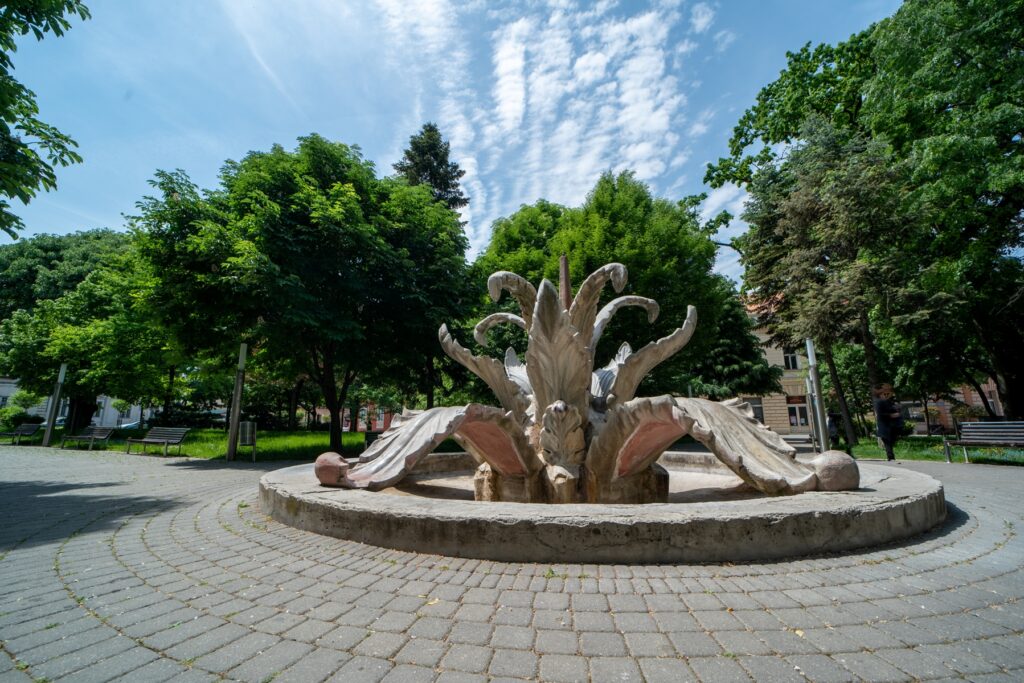 Камени цвет